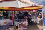 Thumbnail for the post titled: ASSIN SOUTH TRADE SHOW AT NYANKUMASI AHENKRO
